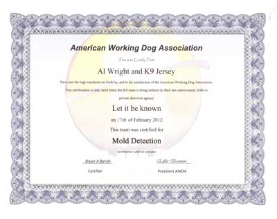 AWDA Certificte