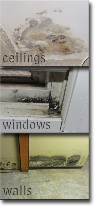 Mould Examples